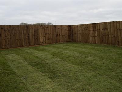 Picture 9